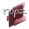 ropz | Boston 2018