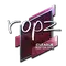 ropz (Foil) | Boston 2018