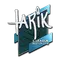tarik | Boston 2018