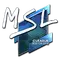 MSL (Foil) | Boston 2018