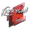 karrigan | Boston 2018