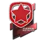 Gambit Esports | Boston 2018