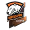 Virtus.Pro | Boston 2018