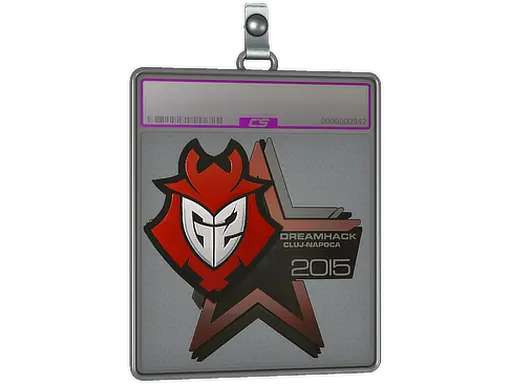 Sticker Slab | G2 Esports (Foil) | Cluj-Napoca 2015