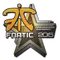 Fnatic | Cluj-Napoca 2015