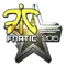 Fnatic (Foil) | Cluj-Napoca 2015