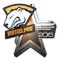 Virtus.Pro (Foil) | Cluj-Napoca 2015