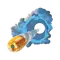 BullHit (Lenticular)