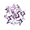 Bolt Energy (Foil)
