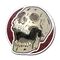 Rising Skull