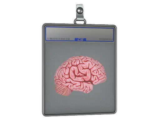 Sticker Slab | CS On The Mind