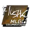 flusha | MLG Columbus 2016