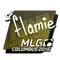 flamie | MLG Columbus 2016