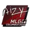 aizy | MLG Columbus 2016