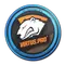 Virtus.Pro | Cologne 2014