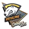 Virtus.Pro (Foil) | Cologne 2015