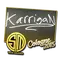 karrigan | Cologne 2015