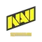 Natus Vincere | Copenhagen 2024