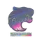 FalleN (Holo) | Copenhagen 2024