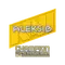 Aleksib (Champion) | Copenhagen 2024