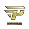 paiN Gaming (Gold) | Copenhagen 2024