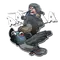 Noble Steed