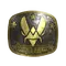 Vitality (Gold) | Austin 2025
