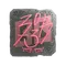 zorte (Foil) | Austin 2025