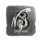npl (Foil) | Austin 2025