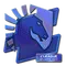 Team Liquid (Holo) | Atlanta 2017