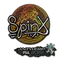 Spinx | Antwerp 2022