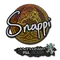 Snappi | Antwerp 2022