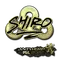 sh1ro (Gold) | Antwerp 2022