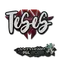 TeSeS | Antwerp 2022