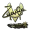 ZywOo (Gold) | Antwerp 2022