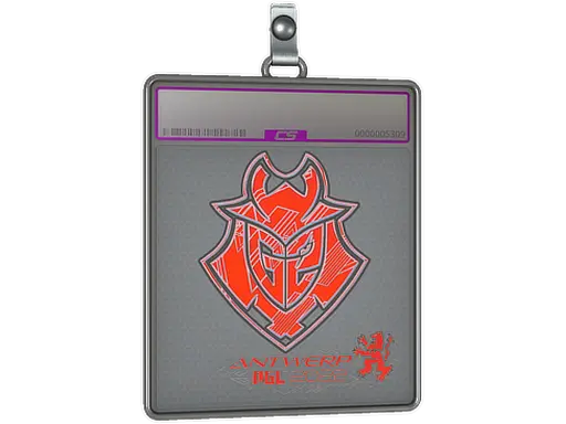 Sticker Slab | G2 Esports (Holo) | Antwerp 2022