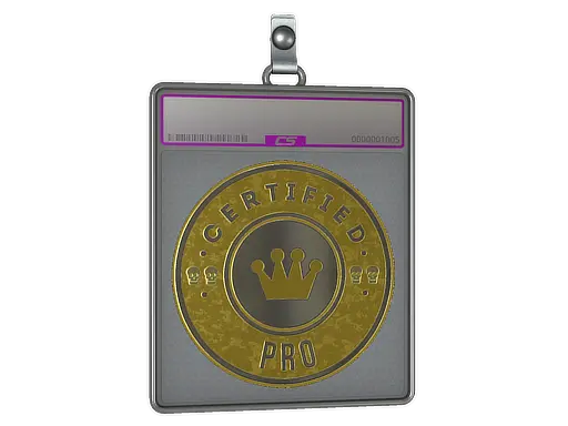 Sticker Slab | The Pro (Foil)