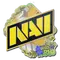 Natus Vincere (Holo) | Rio 2022