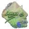 lauNX (Holo) | Rio 2022