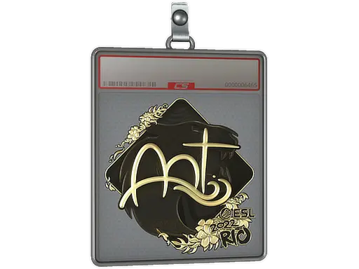 Sticker Slab | arT (Gold) | Rio 2022