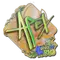 apEX (Holo) | Rio 2022