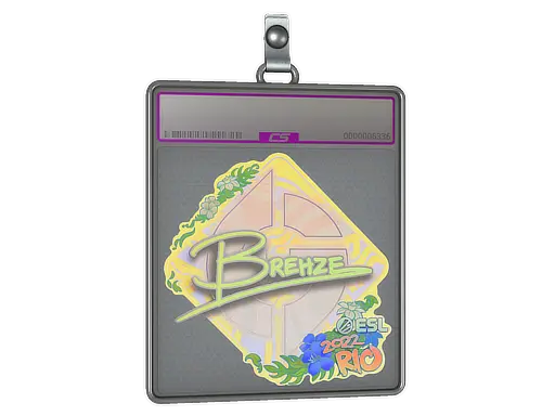 Sticker Slab | Brehze (Holo) | Rio 2022