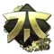Fnatic (Gold) | Rio 2022