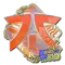 Fnatic (Holo) | Rio 2022
