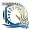 Liquid (Foil) | 2020 RMR