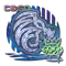 North (Holo) | 2020 RMR
