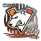 Virtus.pro | 2020 RMR