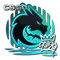 Spirit | 2020 RMR