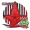 Astralis (Holo) | 2020 RMR