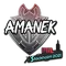 AMANEK | Stockholm 2021